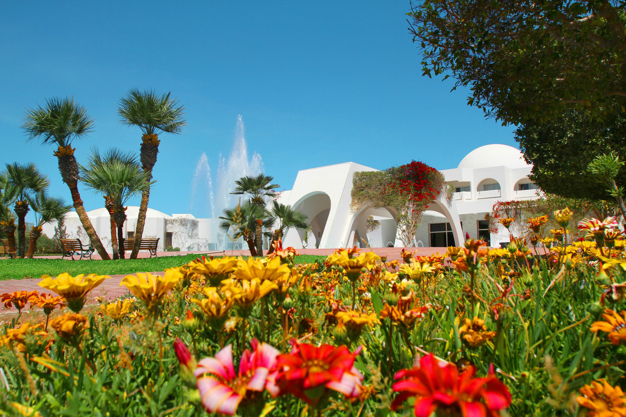 Djerba Plaza Thalasso & Spa Triffa Esterno foto
